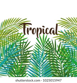 tropical and exotic palms leafs