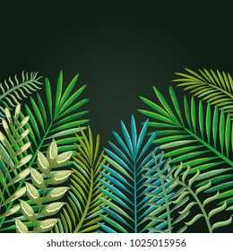 tropical and exotic palms leafs