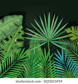 tropical and exotic palms leafs