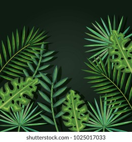 tropical and exotic palms leafs