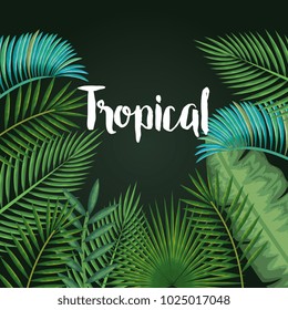 tropical and exotic palms leafs
