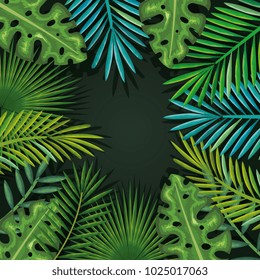 tropical and exotic palms leafs