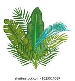 tropical and exotic palms leafs