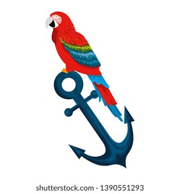 tropical and exotic parrot in anchor