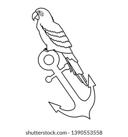 tropical and exotic parrot in anchor