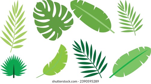 Tropical exotic plants leaves set isolated on white background. Vector Art illustration