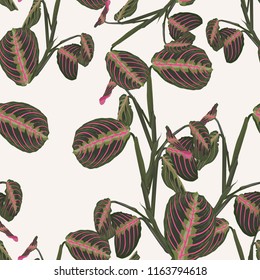 Tropical exotic plants seamless pattern . Decoration on light background. Colorful exotic rainforest wallpaper.