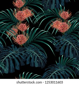 Tropical exotic plants seamless pattern, monster, palm leaves and protea flowers . Decoration on black background. Colorful exotic rainforest wallpaper.