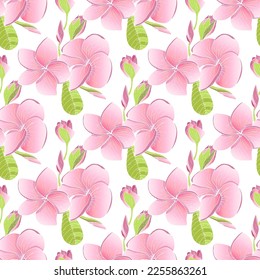 Tropical exotic plumeria flowers in simple elegant style. Decorative of frangipani floral seamless pattern. Repitable motif.