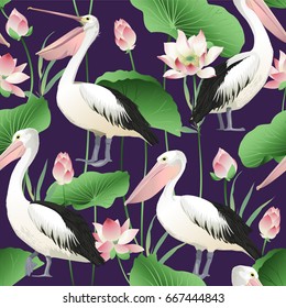 Tropical exotic print with pelicans - Vector seamless pattern