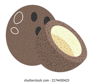 Tropical and exotic products, isolated coconut fruit with milk and aromatic taste. Vegetarian and vegan dessert, sweet meal, ingredients for dishes and snacks. Vector in flat style illustration