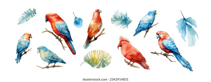 Tropical Exotic set parrots birds with flowers colorful on white background vector illustration. Watercolor parrot macaw, cockatoo