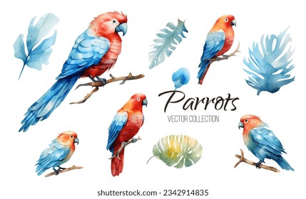 Tropical Exotic set parrots birds with flowers colorful on white background vector illustration. Watercolor parrot macaw, cockatoo