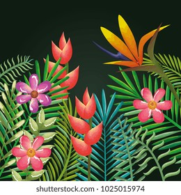 tropical and exotics flowers and leafs