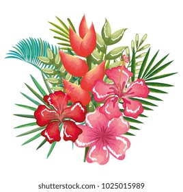 tropical and exotics flowers and leafs