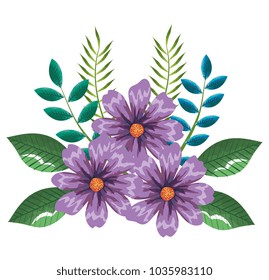 tropical and exotics flowers and leafs