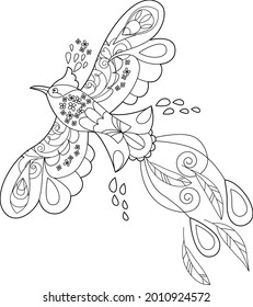 Tropical fancy bird. Black and white picture. Contour linear illustration for coloring book with paradise bird. Line art design for adult or kids  in zentangle style and coloring page.