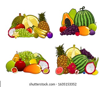 Tropical and farm garden fruits, organic healthy food. Vector exotic fruits pineapple, mango and papaya, farmer watermelon, orange and pomegranate, grapes, apple and pear, durian and guava