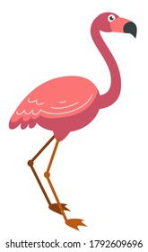 Tropical fauna, flamingo with pink plumage. Isolated icon of exotic bird with long legs, hawaiian zoo. Vibrant plumelet of animal with wings. Tropics and beach, summertime vacation vector in flat