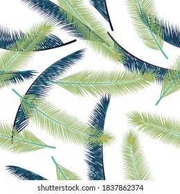 Tropical feather plumage vector pattern. Vintage illustration. Airy natural feather plumage wrapping paper seamless pattern.