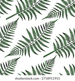 Patrón de azulejos sin fisuras de helecho tropical con intrincadas hojas de helecho y vibrantes tonos verdes sobre un fondo blanco ideal para el concepto de cocinas animadas como hojas de helecho intrincadas y vibrantes tonos verdes sobre fondo blanco crean patrón de azulejos sin fisuras tropicales para cocinas animadas en Foto de archivo Concepto y espacio vacío en el lado izquierdo, sin texto --ar 7:2 --tile