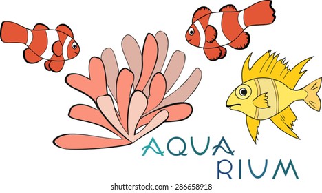 Tropical Fish
