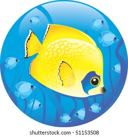 Tropical fish
