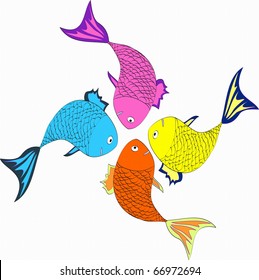 Tropical fish