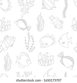tropical fish and algae seamless pattern on white background, vector