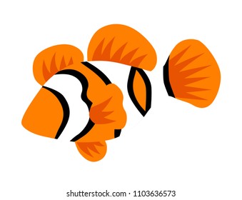 Tropical fish - Anemone-fish