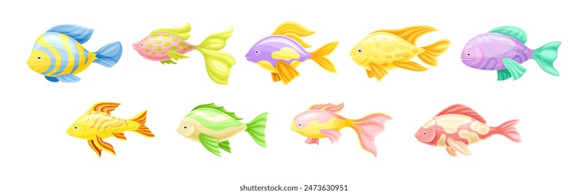 Peces tropicales como conjunto de Vector de mascotas de mar de acuario