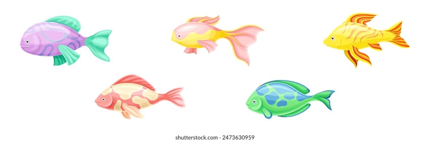 Tropical Fish as Aquarium Sea Pet Vector Set