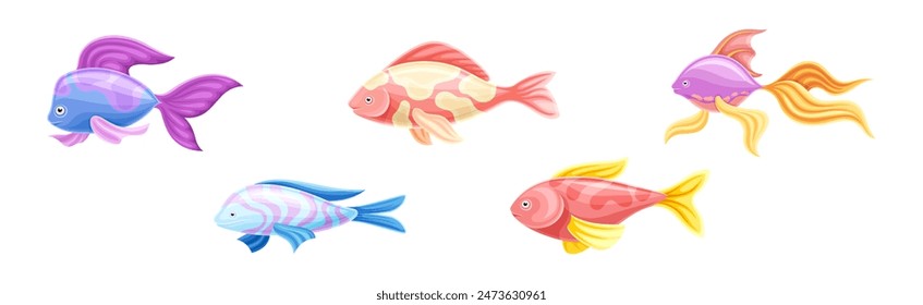 Tropical Fish as Aquarium Sea Pet Vector Set