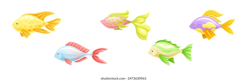 Tropical Fish as Aquarium Sea Pet Vector Set