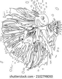 tropical fish. Betta fish with outlines. vector graphics.