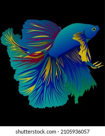 tropical fish. Betta fish with a variety of beautiful colors. vector graphics. with various colors