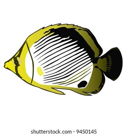 Tropical fish Butterfly-Fish. Vector