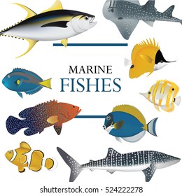 tropical fish collection marine vector illustration