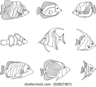 Tropische Fischsammlung. Set verschiedener tropischer Fische. Vektorgrafik auf Hintergrund