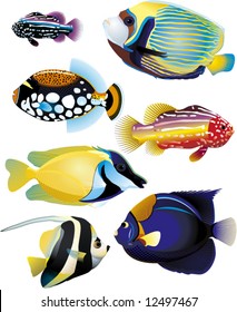 tropical fish collection - vector