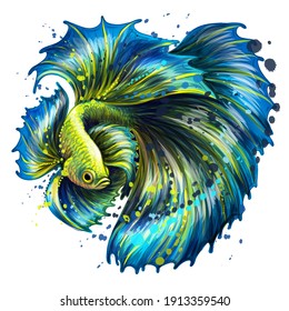 Tropical fish. Color graphic portrait of a fighting fish on a white background in a watercolor style. Digital vector graphics.