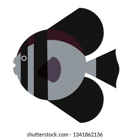 tropical fish flat illustration Marine creatures and underwater world series