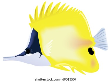 Tropical fish "Forcipiger flavissimus". Vector illustration.