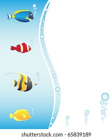 Tropical fish frame, vector illstration