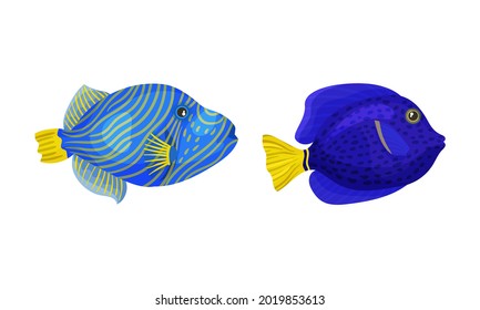 Tropical Fish for Freshwater and Saltwater Aquarium Vector Set