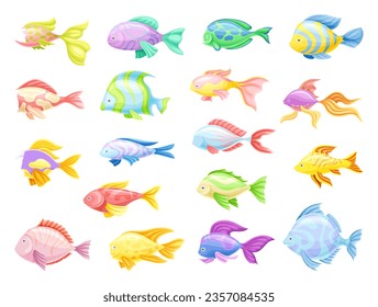 Tropical Fish for Freshwater and Saltwater Aquarium Big Vector Set