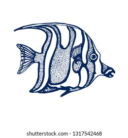 tropical fish, hand drawing, vector illustration isolated on white background