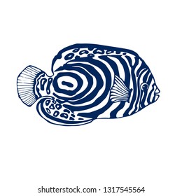 tropical fish, hand drawing, vector illustration isolated on white background