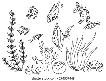 Tropical fish hand drawn design set. Vector illustrations.