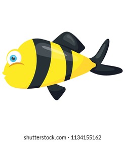 
A tropical fish having bee like pattern called bumblebee fish 
